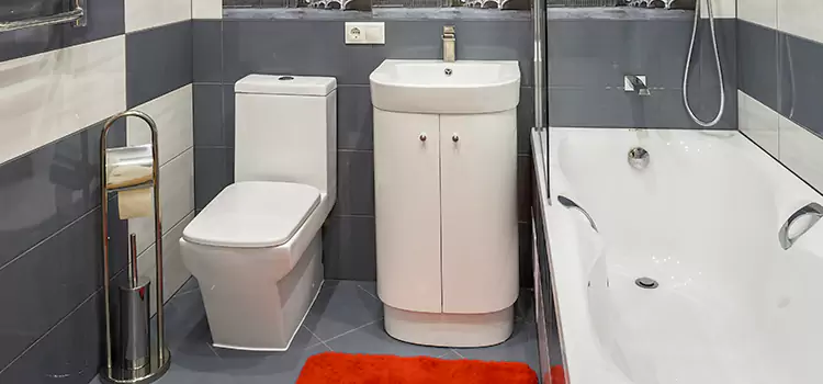 Hansgrohe Shaving Mirror Paso Robles